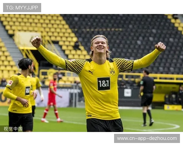 德甲冠军十年变迁：从多特垄断到拜仁复兴